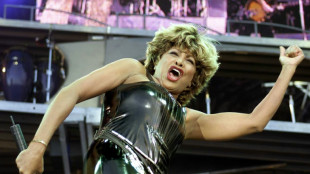 Tina Turner, les cinq tubes de la reine du rock