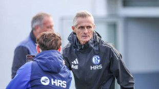 Schalke-Trainer van Wonderen: "Weiß, dass es nicht einfach ist"