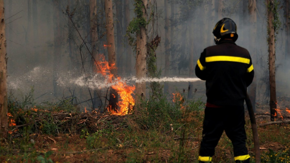 New areas under threat as Chile fires rage and mercury rises