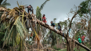 Mozambique cyclone cluster raises fears of new norm