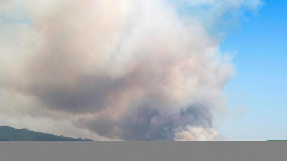 Incendios forestales en zona centro sur de Chile dejan al menos cinco muertos