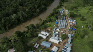 Presidente do Panamá visita floresta que quer fechar à migração