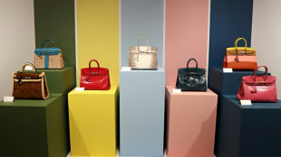 Demandan a Hermès por obstaculizar compra de carteras Birkin