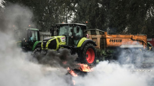 Des agriculteurs bloquent le port de Bordeaux, la ministre promet d'agir