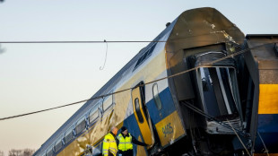 One dead, dozens injured in Dutch rail crash