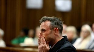 S. Africa's Pistorius in fresh parole bid decade after murder