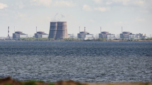 Ukraine: nouvelles frappes à la centrale nucléaire de Zaporijjia, "le temps presse", dit l'AIEA