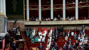 Deputados franceses se vestem com as cores da bandeira palestina