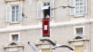 Il Papa, la tregua sia rispettata, si lavori ai due Stati