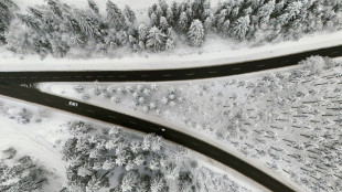 Winterchaos legt Teile Süddeutschlands lahm - Flug- und Bahnverkehr eingestellt