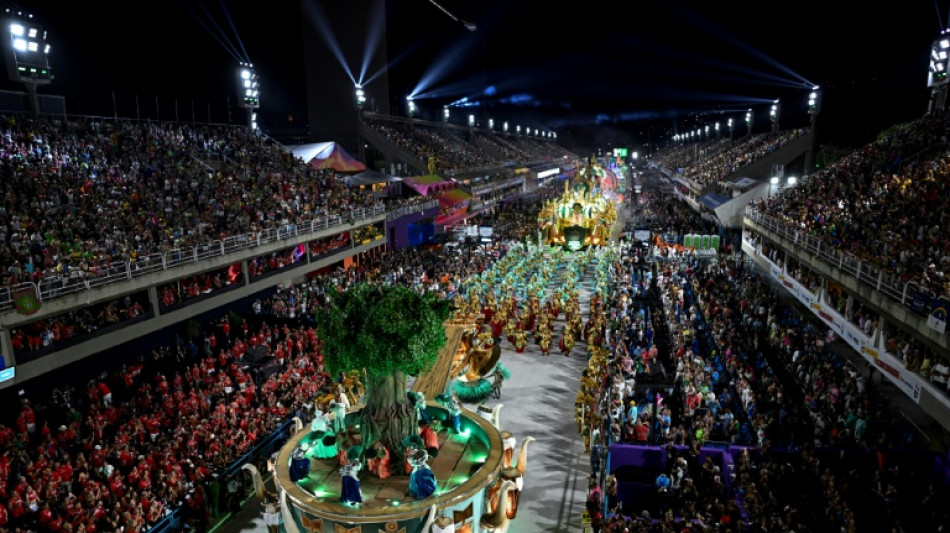 'Double happiness' as Rio carnival returns