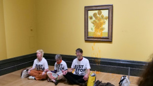 Van Gogh 'Sunflowers' in new soup protest after activists jailed