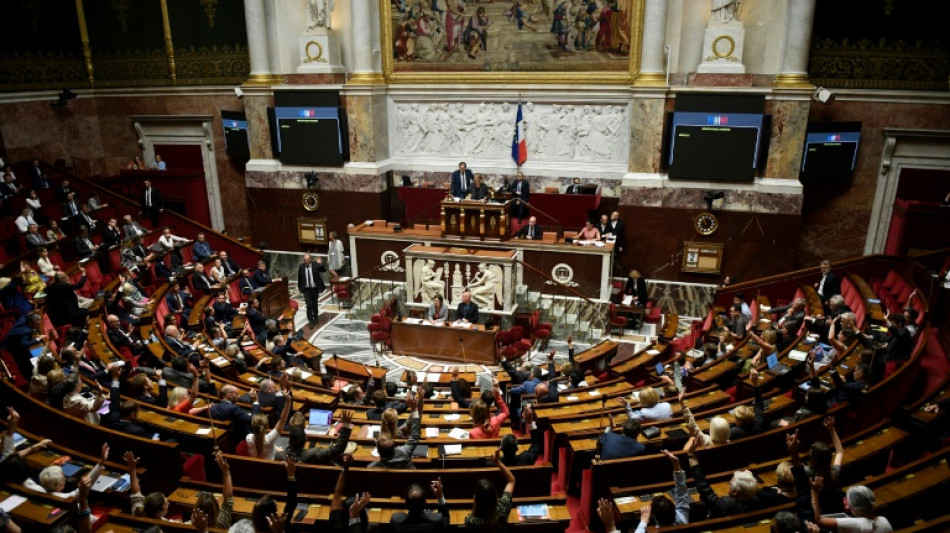 Pouvoir d'achat: clap de fin au Parlement, au bout d'une session agitée