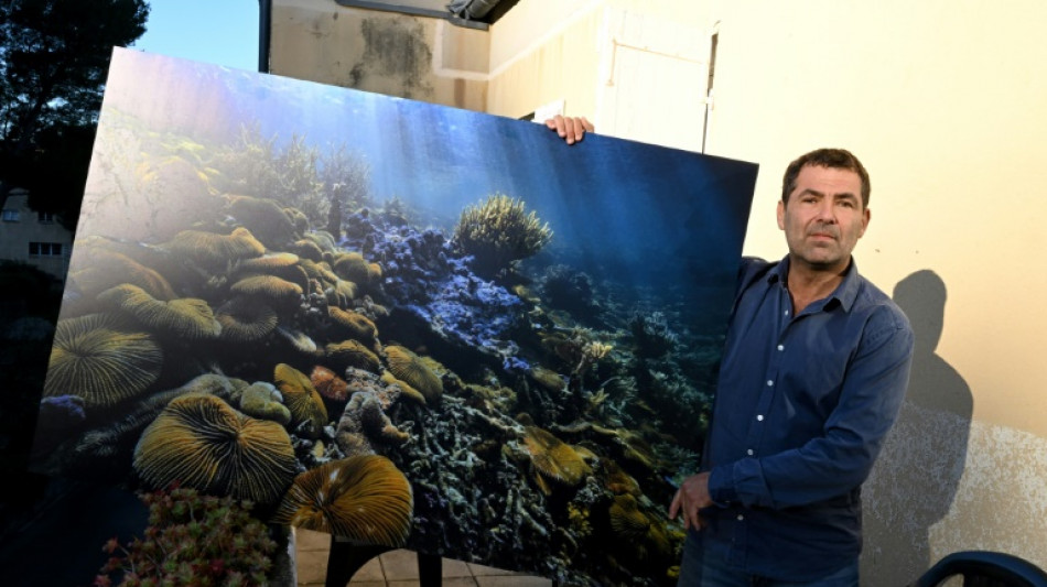 La photo de coraux géants d'Alexis Rosenfeld: l'espoir venu des fonds