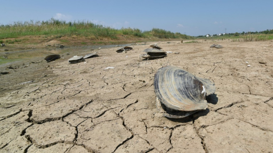 Climat: des engagements "très loin" d'être suffisants avant la COP, avertit l'ONU