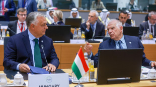 Borrell, 'Orban non rappresenta l'Ue in visita in Georgia'