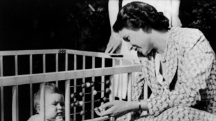 Elizabeth II: trouble, strife and family life