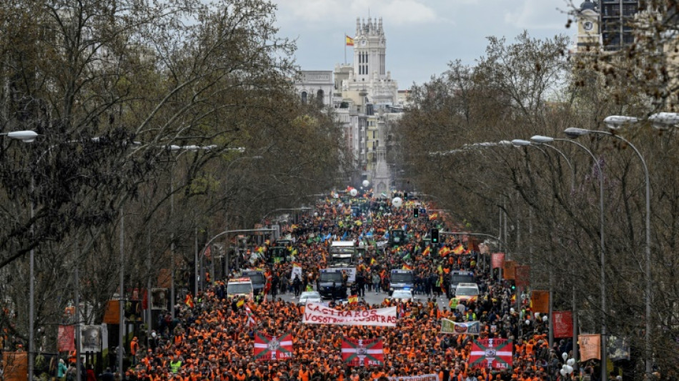 150.000 Menschen in Spanien demonstrieren gegen hohe Rohstoff- und Energiepreise