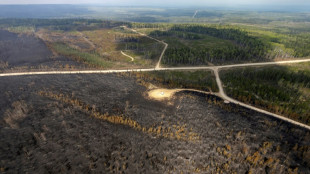 Canada seeks foreign help to fight spreading wildfires