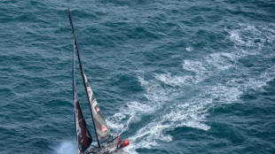 Transat Jacques Vabre: en Imoca, du neuf, du vieux et une "belle bagarre"