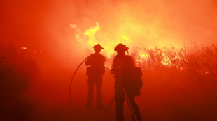 Feuerwehrleute kämpfen gegen bislang größtes Feuer des Jahres in Kalifornien