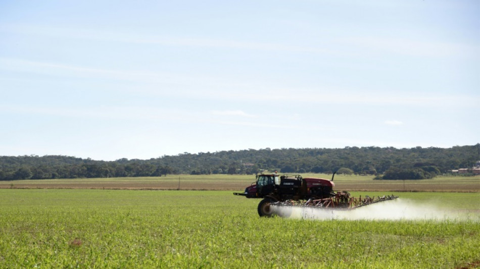 Emissions from fertilisers could be slashed by 2050: study