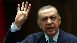 Erdogan dice que Suecia "no debe esperar" el apoyo de Turquía a la candidatura de la OTAN