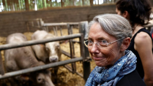 Pour sa première campagne, Borne s'exerce aux figures imposées dans le Calvados