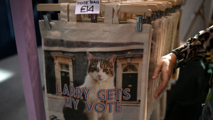 Britain's true ruler? Larry the Downing Street cat