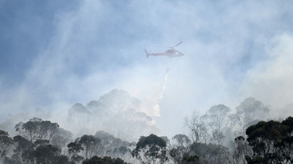 Forest fires burn in Colombia amid record heat