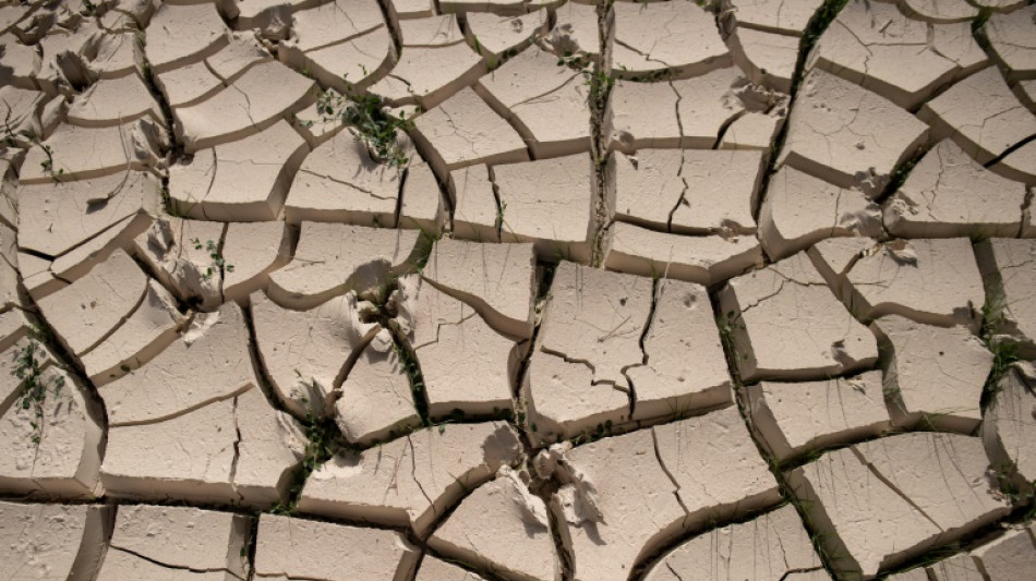 Con la desertificación en España, el avance de las tierras sin vida