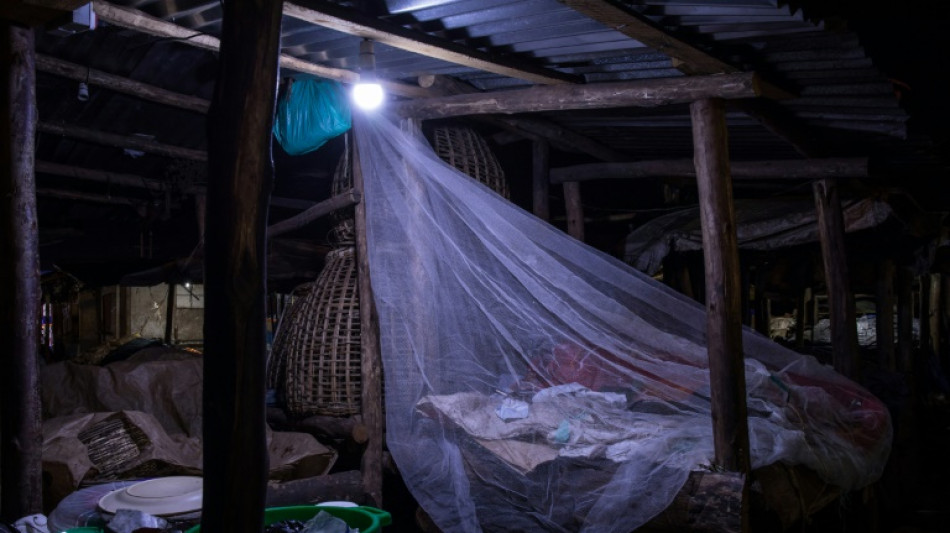 Paludisme: une espèce invasive de moustique gagne du terrain en Afrique