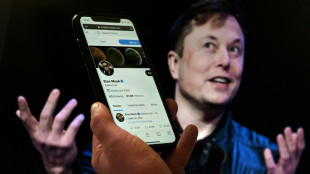 Delaware: small US state is the stage for Musk, Twitter battle