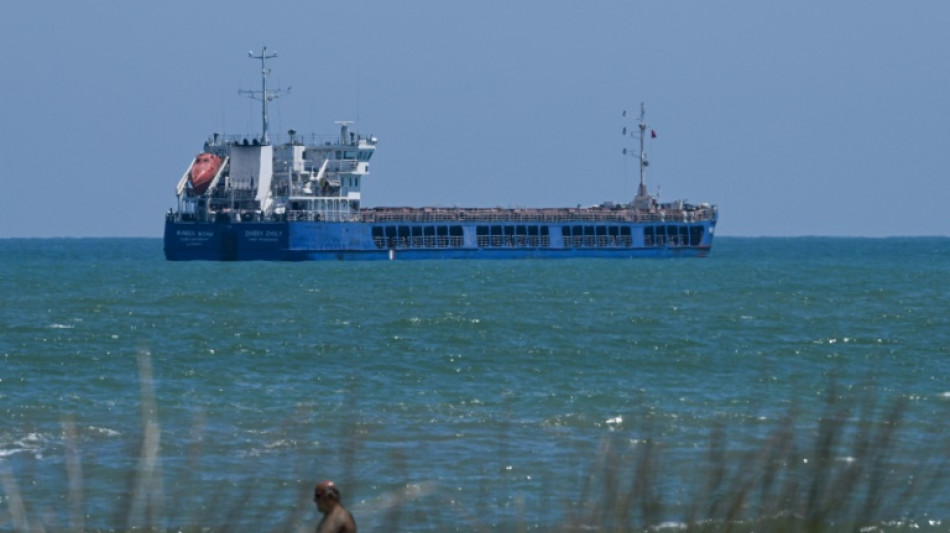 Céréales ukrainiennes: le cargo russe Zhibek Zholy en eaux russes