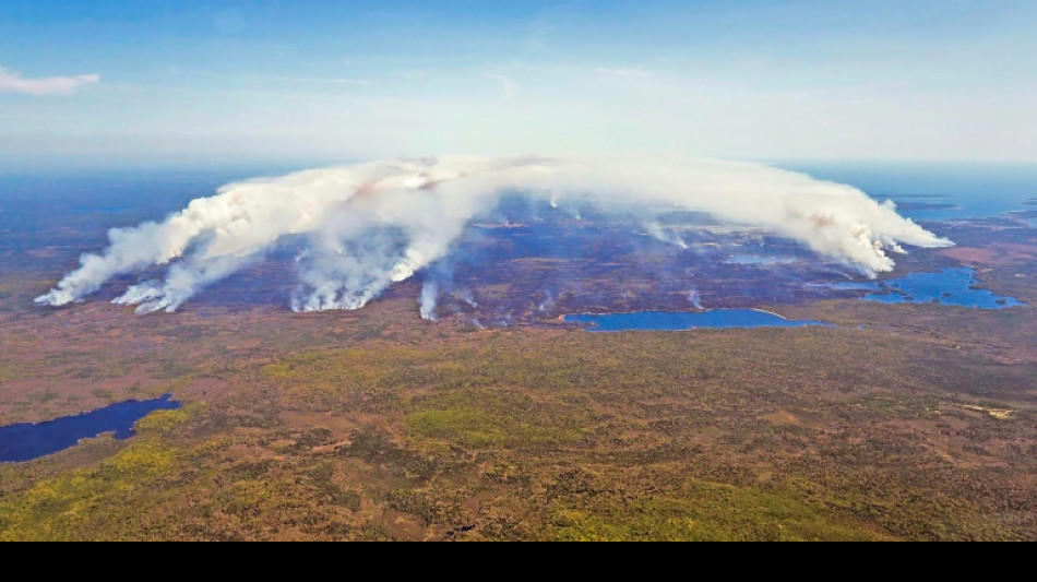 Canada wildfires spark 'ecoterrorist' conspiracy theory