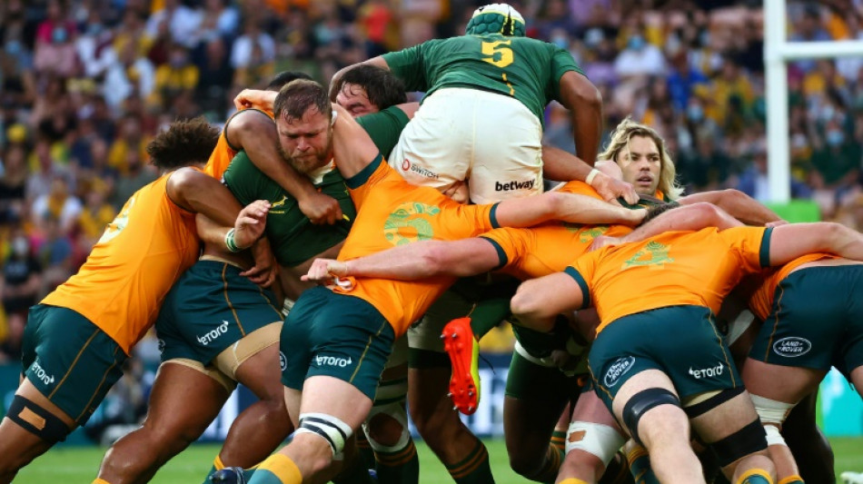 'Big step-up' needed from South Africa against hurting Wallabies