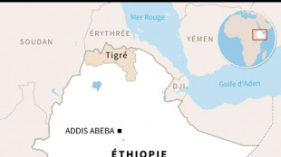 Ethiopie: armée et rebelles du Tigré s'affrontent en région de l'Amhara