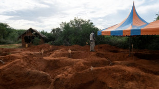 Kenya starvation cult death toll exceeds 300: official 