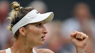 Wimbledon: la Tchèque Marketa Vondrousova se qualifie pour sa deuxième finale en Grand Chelem