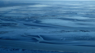 Mehrere Vermisste nach Schiffskollision in der Nordsee