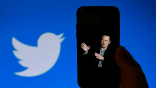 Musk announces 'amnesty' for banned Twitter accounts after poll