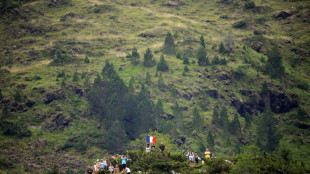 La 15e étape du Tour de France: un 14 juillet en enfer