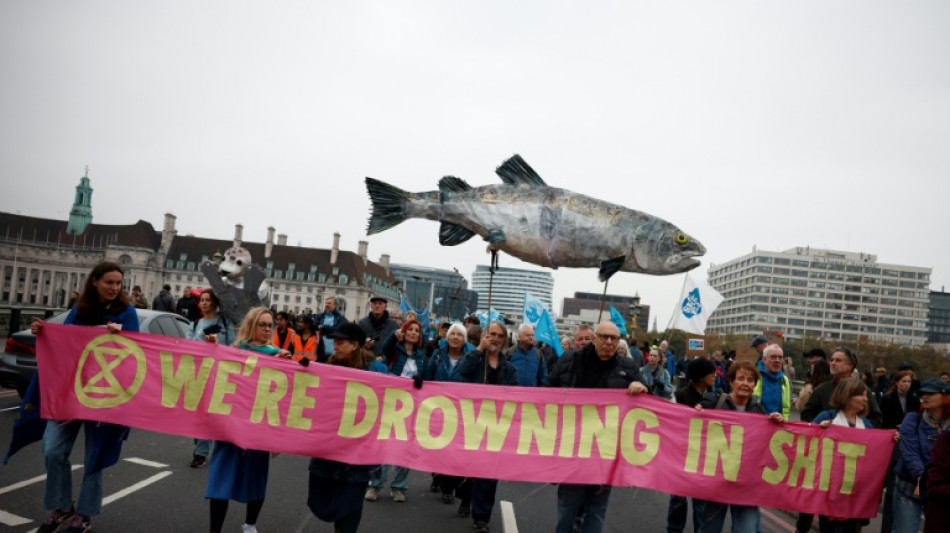 Miles de personas marchan en Londres en reclamo de agua más limpia