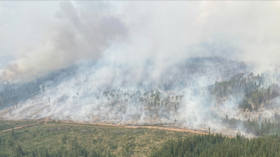 Canada wildfires have burned over 10 mn hectares this year