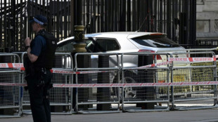 Man arrested after car crashes into Downing Street gates: police