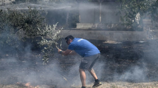 En Grèce, les pompiers combattent de gros incendies sur de multiples fronts