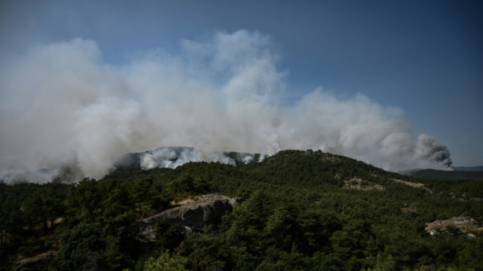 La Grèce frappée par "le plus grand incendie jamais enregistré dans l'UE"