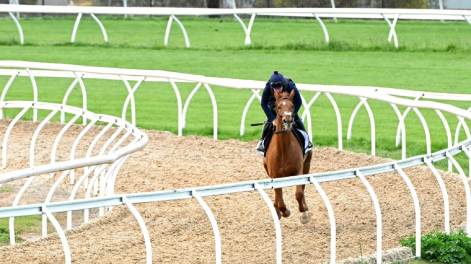 'Race that stops a nation': Buckaroo, Vauban favourites for Melbourne Cup