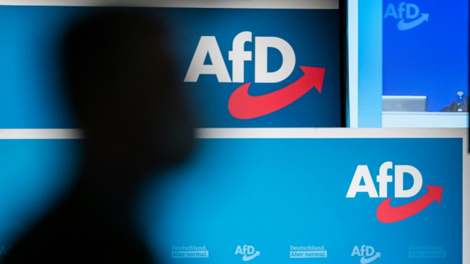 "Wende rückwärts zu Nationalismus": BDI-Präsident warnt vor Wahlerfolgen der AfD