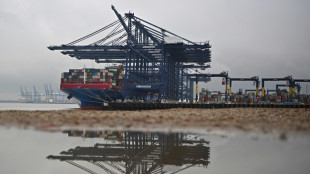 Achttägiger Streik in Großbritanniens größtem Containerhafen geplant